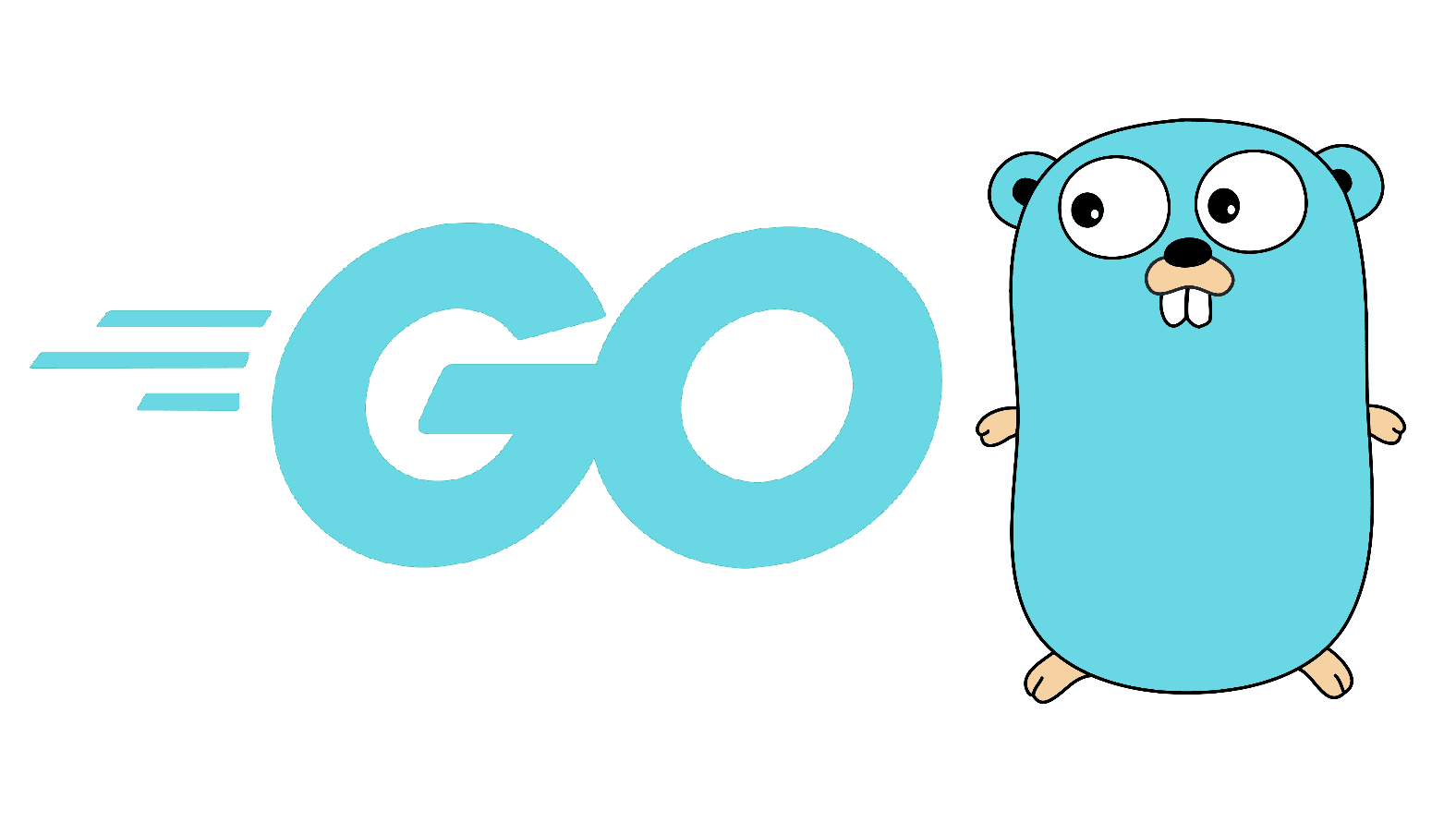 Introduction to Google Go - Beginner Guide.