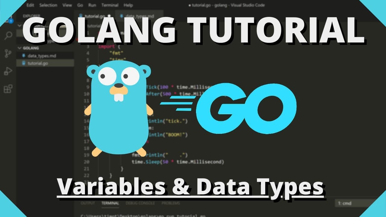 Understanding Variables and Data types in Go.